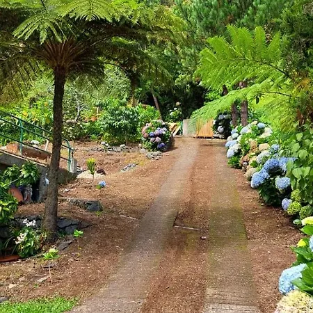 Quinta *