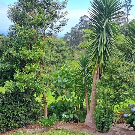 Quinta