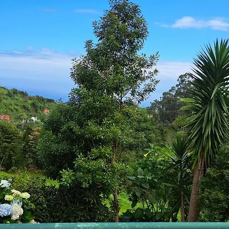 Quinta Villa Sao Jorge (Madeira)